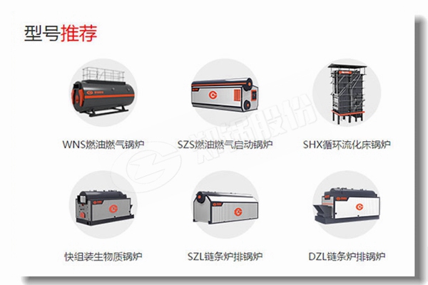 5000kg燃煤卧式凯发k8国际首页登录